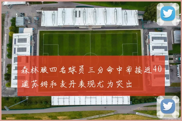 森林狼四名球员三分命中率接近40道苏姆和麦丹表现尤为突出