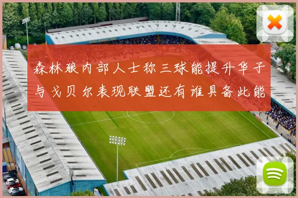 森林狼内部人士称三球能提升华子与戈贝尔表现联盟还有谁具备此能力